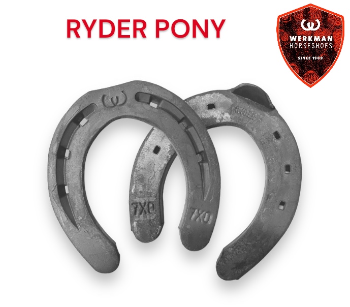 Werkman RYDER ORIGINAL Pony 15x6 Front una Clip