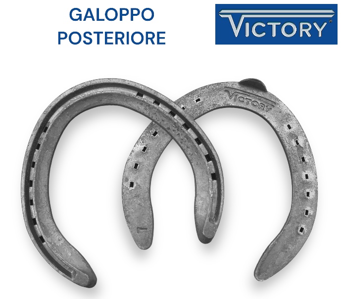Victory FINE SERIE Galoppo Ferro Hind una Clip