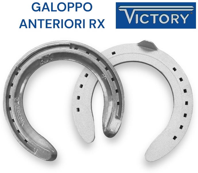 Victory RX Alluminio con Salvapunta e Barbetta Front
