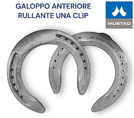 S.Croix CONCORD EQUI-LIBRIUM Galoppo Ferro Front una Clip