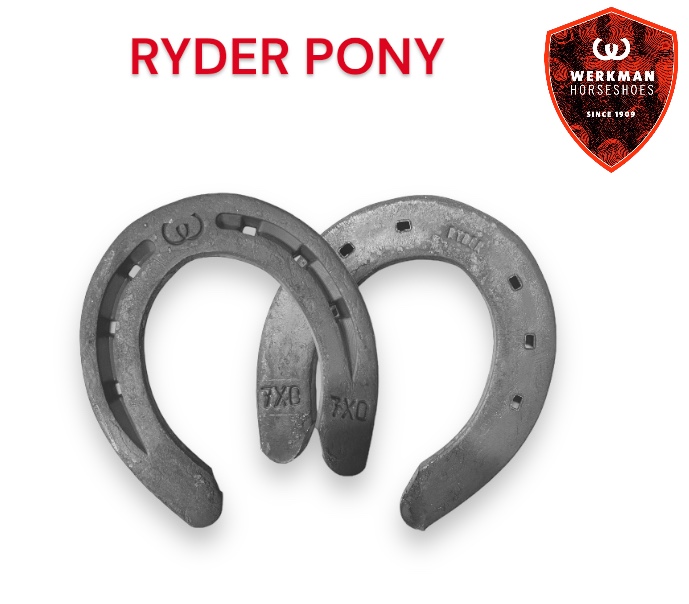 Werkman RYDER ORIGINAL Pony 15x6 Front no Clip