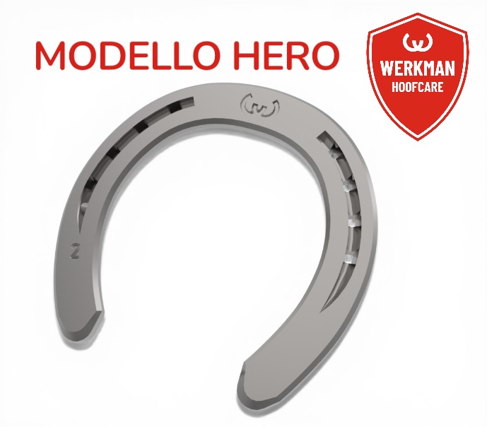 Werkman Hero Anteriore Una Clip sezione 20/22/25x8