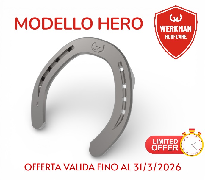 Werkman Hero Posteriore Due Clip_1