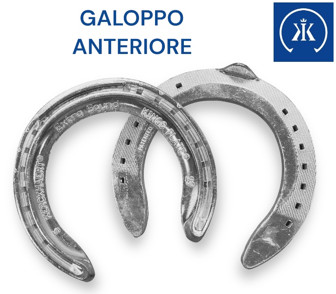 Kerckhaert EXTRA SOUND Galoppo Alluminio Front una Clip