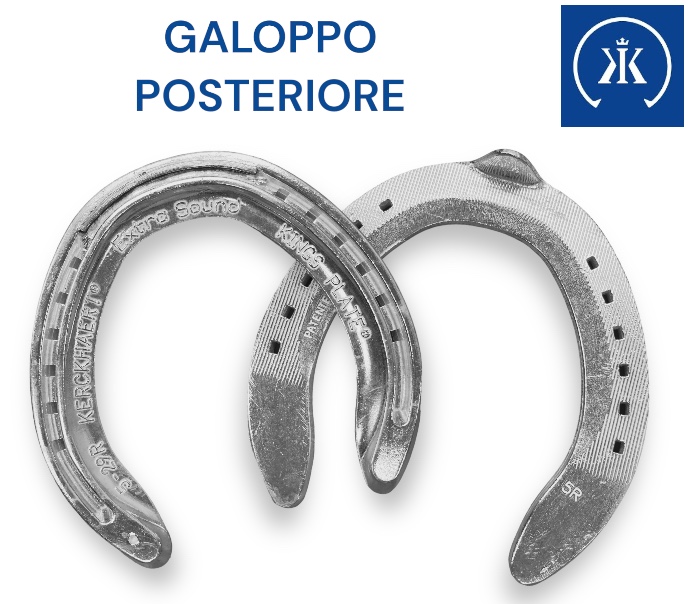 Kerckhaert EXTRA SOUND Galoppo Alluminio Hind una Clip