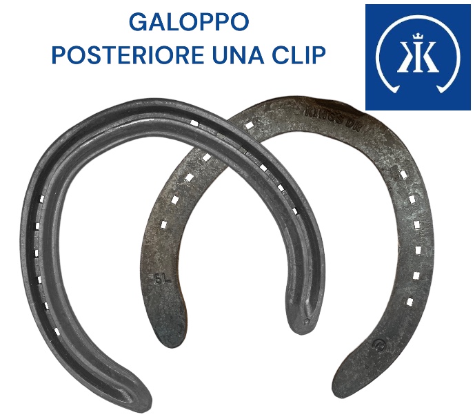 Kerckhaert KINGS DR Galoppo Ferro 16x8 Hind una Clip