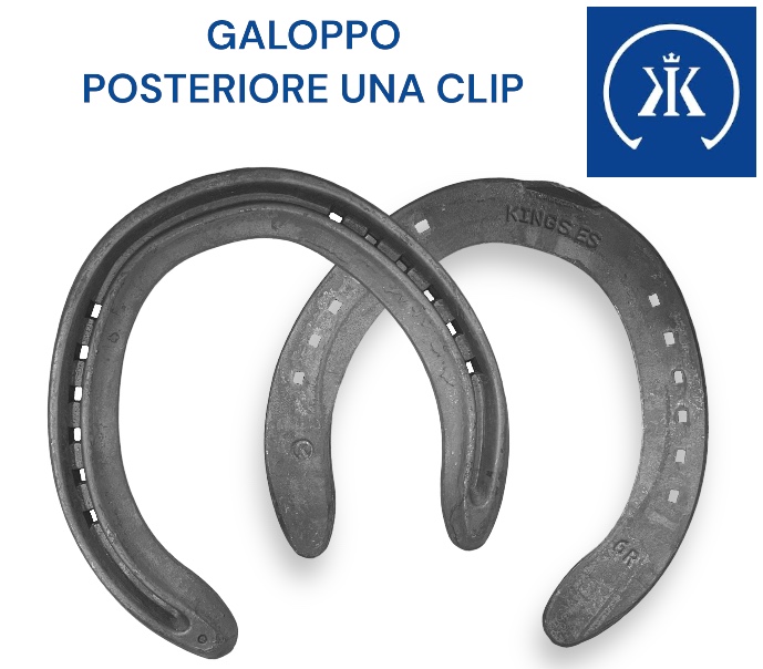 Kerckhaert KINGS EXTRA Sound Galoppo Ferro Hind una Clip