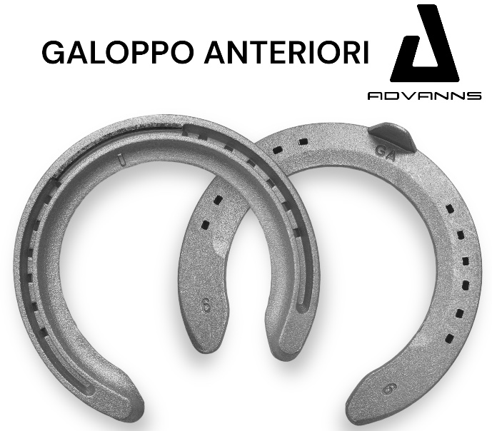 24 Farrier EVOLUTION Galoppo Alluminio Front una Clip