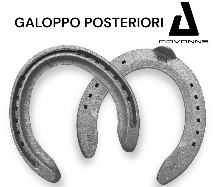 24 Farrier EVOLUTION Galoppo Alluminio Hind una Clip