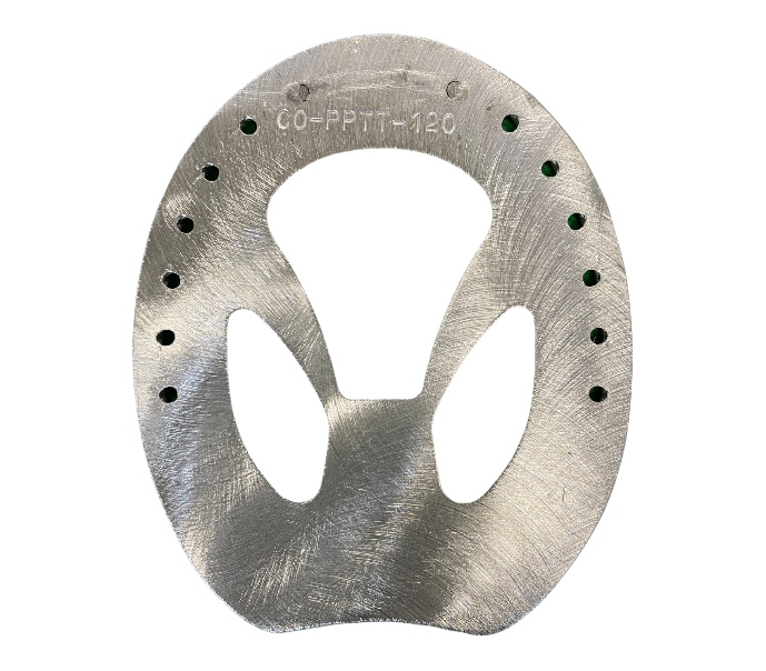 Colleoni PPTT Trotto  Pianella Alluminio Scaricata_1