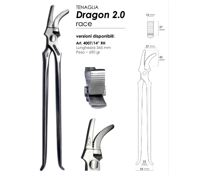 Tirachiodi per TROTTO e GALOPPO RACE HORSES_1