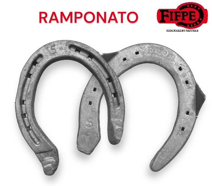 Fifpe Ferro CLASSICO RAMPONI FISSI Sella Hind due Clip