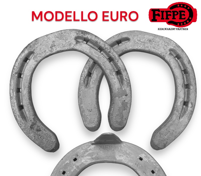 Fifpe Ferro Modello Eurofino DR 1 Clip Anteriore