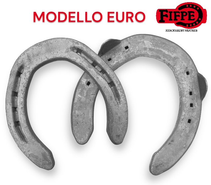 Fifpe MODELLO EURO 22X8 Hind due clip