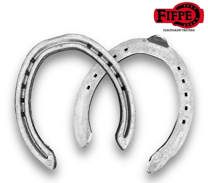 24 Farrier FASTER Trotto in ferro 15x5 Hind