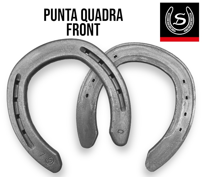 Ferro di cavallo Punta Quadra QH7F Anteriore Double S
