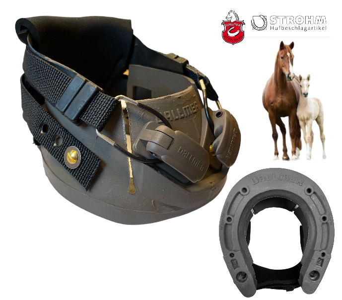 Dallmer CLOG Coppia di scarpette per lo zoccolo del cavallo Front